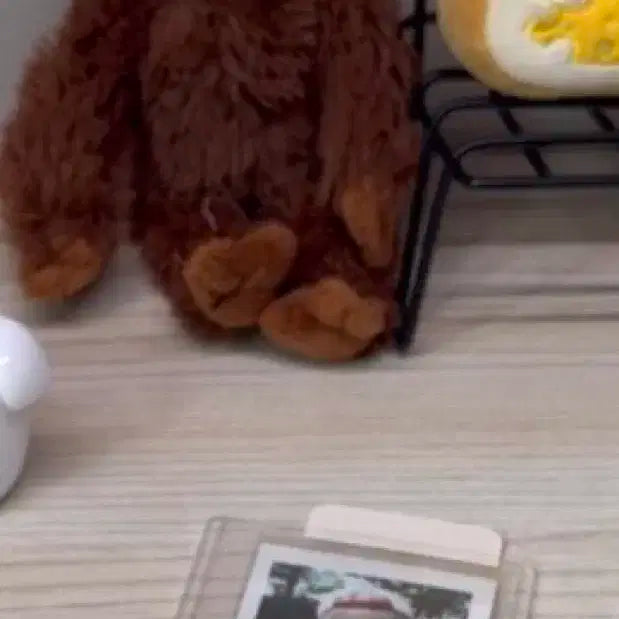 레이 여름 폴라로이드