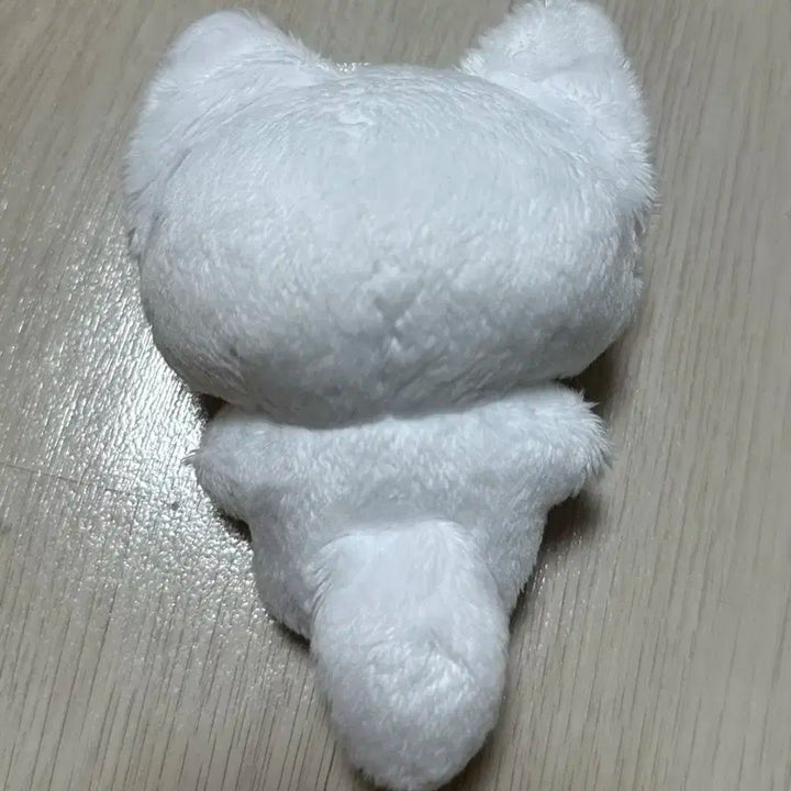 플레이브 비공식솜 한노노
