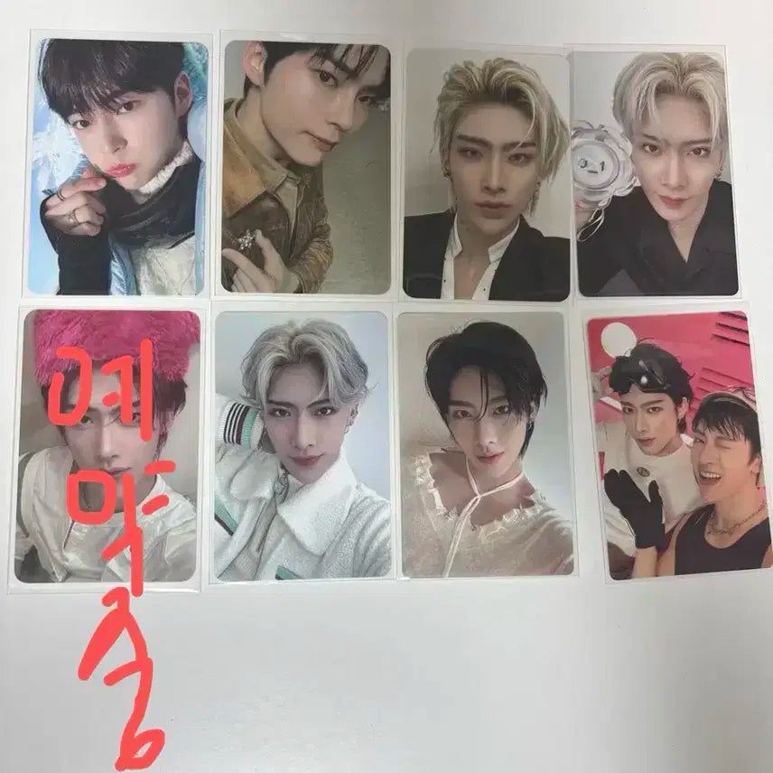 비공굿 덤ㅇ)리키 성한빈 포카 일괄 양도 제로베이스원 제베우ㅜ