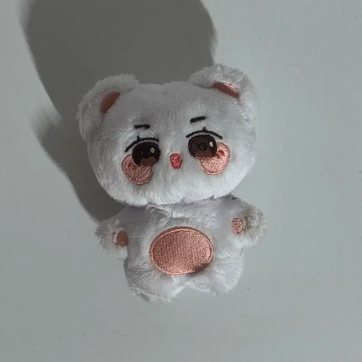 투바투 뽀바투 / 밤돌이 양도