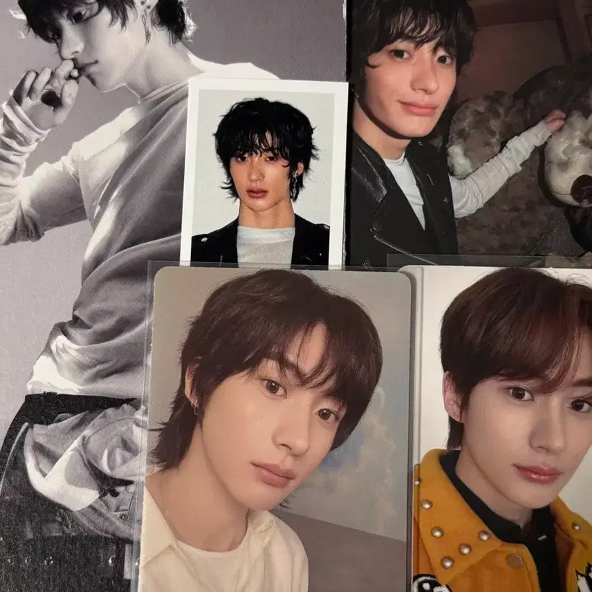 라이즈 앤톤 일본 쥬얼 앨범 포카 디마뮤 미공포 일괄 포토카드