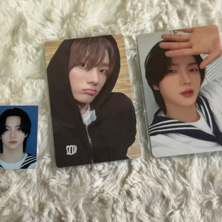 보이넥스트도어 성호 박성호 증사 마린 포카 위버스 멤버쉽 보넥도