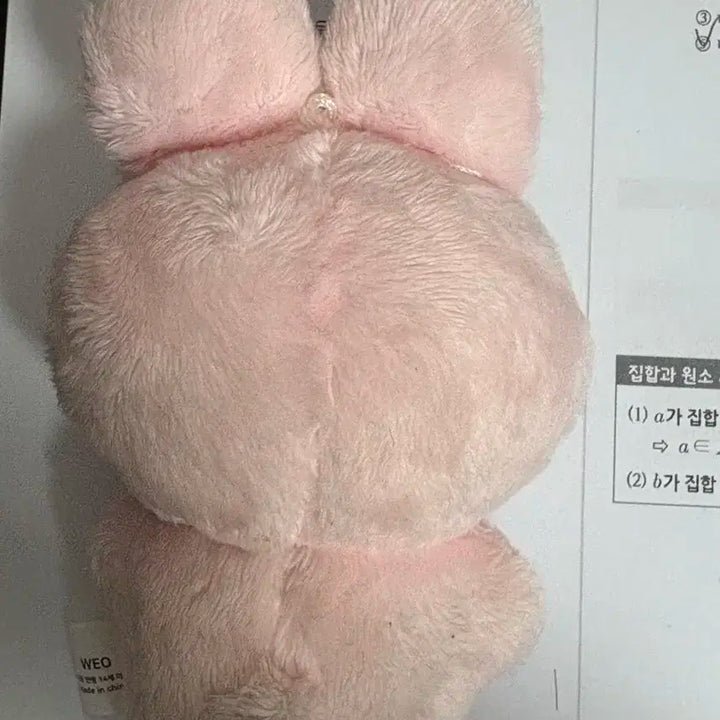 제베원 한유진 인형