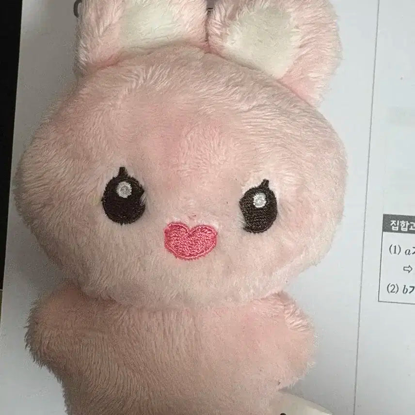 제베원 한유진 인형