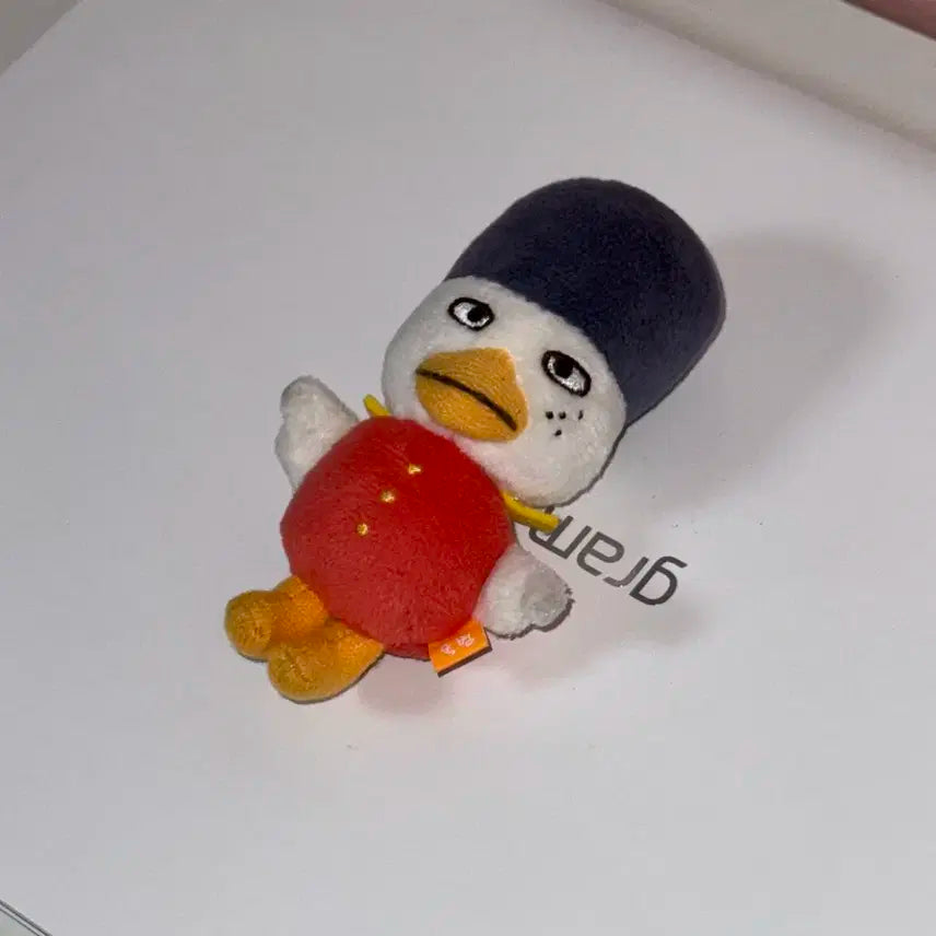 라이즈 소희 1기 똘병이 양도