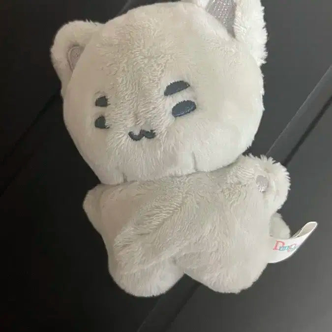 엑디즈 정수 둥코 양도