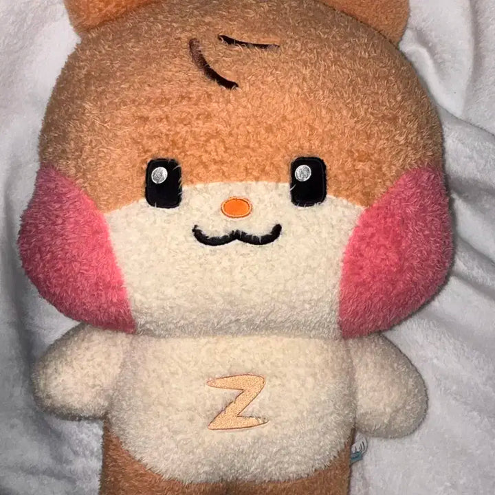 제로베이스원 제베원 ZB1 성한빈 한빈 비니니 대왕 플랫쿠션