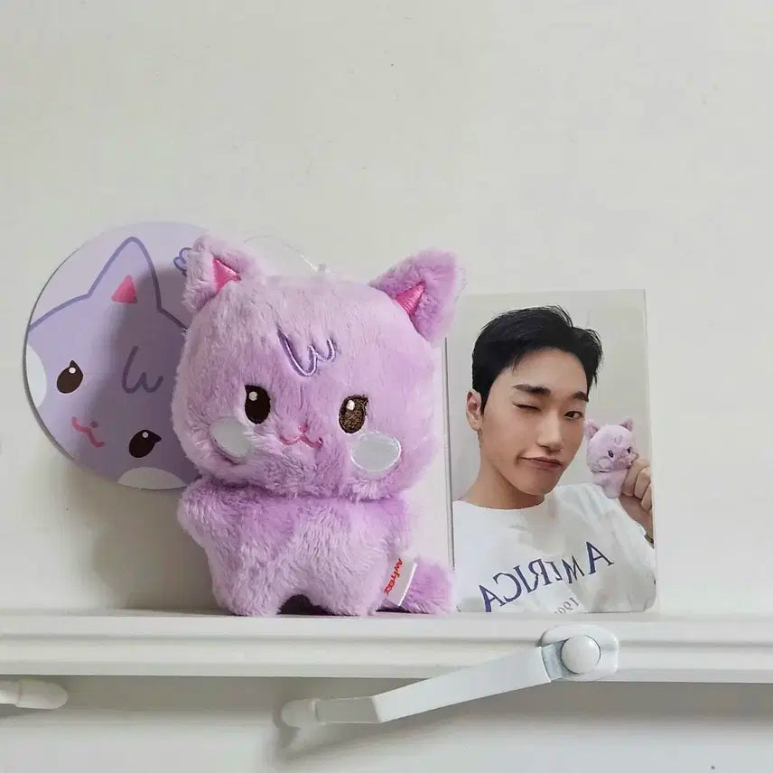 애니티즈 산덕이 미니 인형 키링 포카 포함 양도