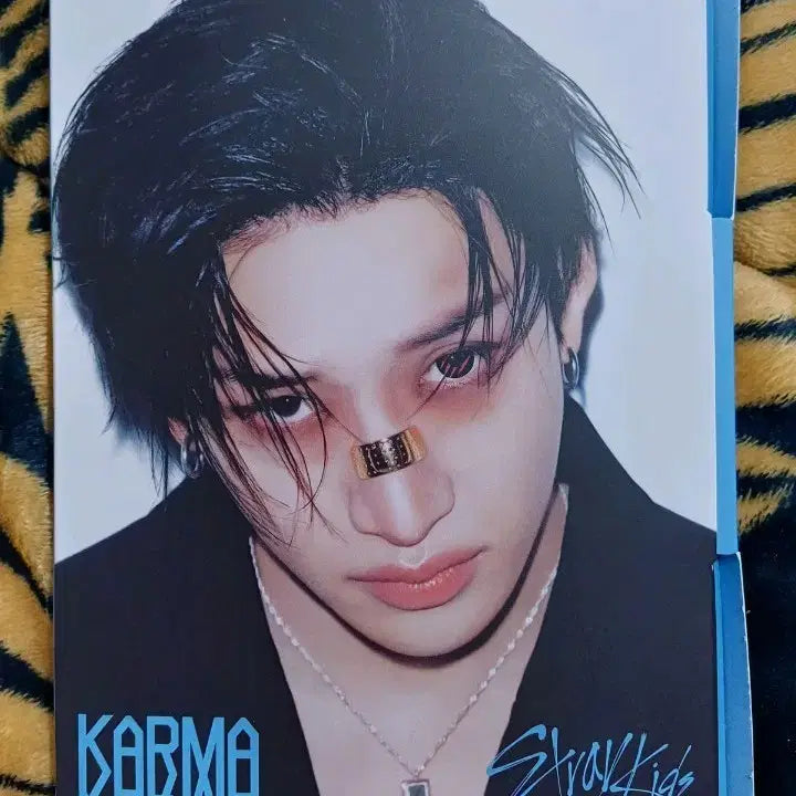 스트레이키즈 카르마 (Bang Chan Ver.) 앨범