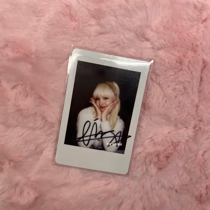 아이브 리즈 일레븐 이즈위 1차 양도 싸인 폴라로이드