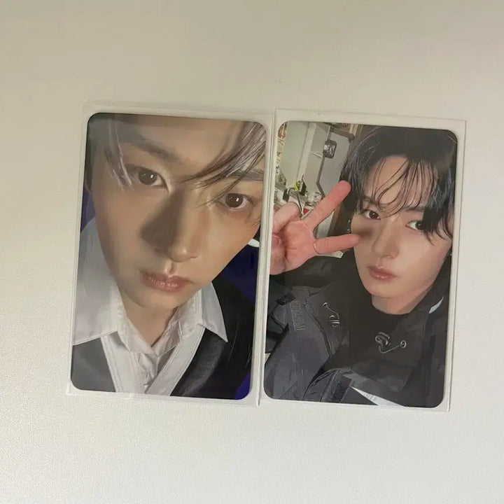 스키즈 리노 KARMA 포카 세트