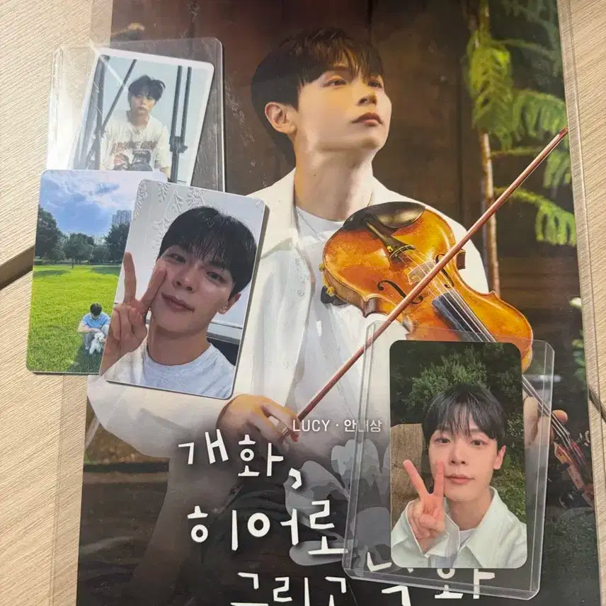 루시 마이아티필름 포스터 + 포카 예찬 일괄