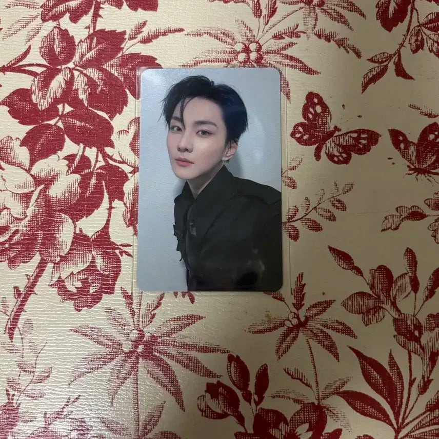 엔하이픈 정원 럭드