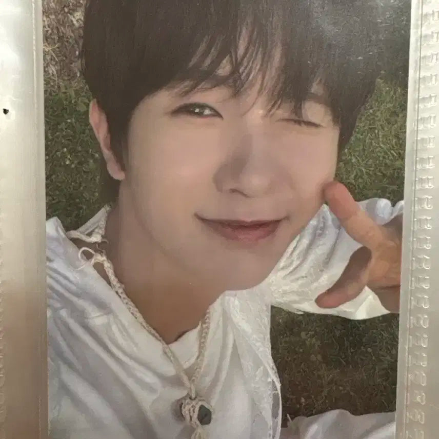 엔시티 위시 료 surf 포카