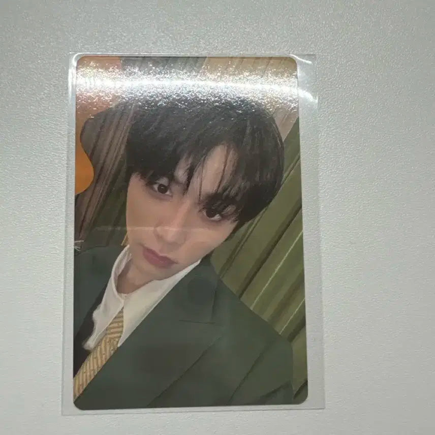 보넥도태산포카