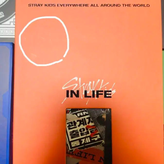 Stray Kids In Life 앨범
