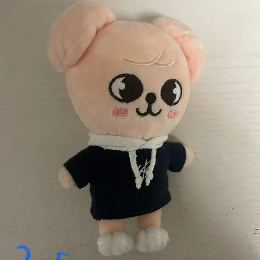 스트레이키즈 스키주 mini ver.