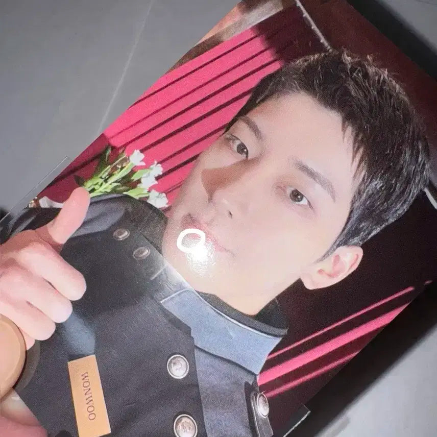 세븐틴 원우 포카 일괄 양도 캐럿존 팔로우앙콘 캐럿랜드 쿱스 민규