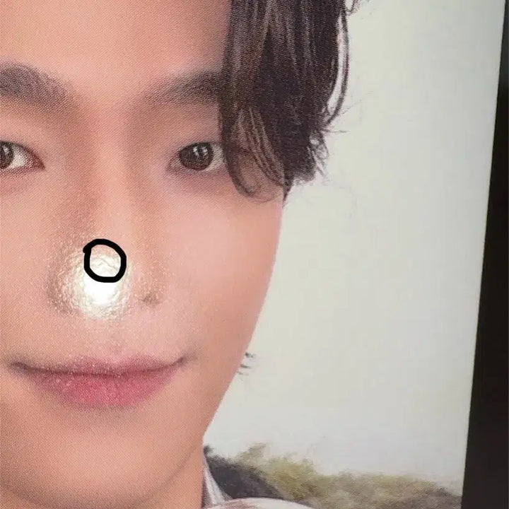 세븐틴 디노 포카 일괄 양도 캐럿존 팔로우앙콘 캐럿랜드 쿱스 민규