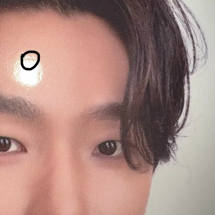 급처) 세븐틴 디노 캐럿존 포카 일괄 양도 팔로우앙콘 캐럿랜드 10주년