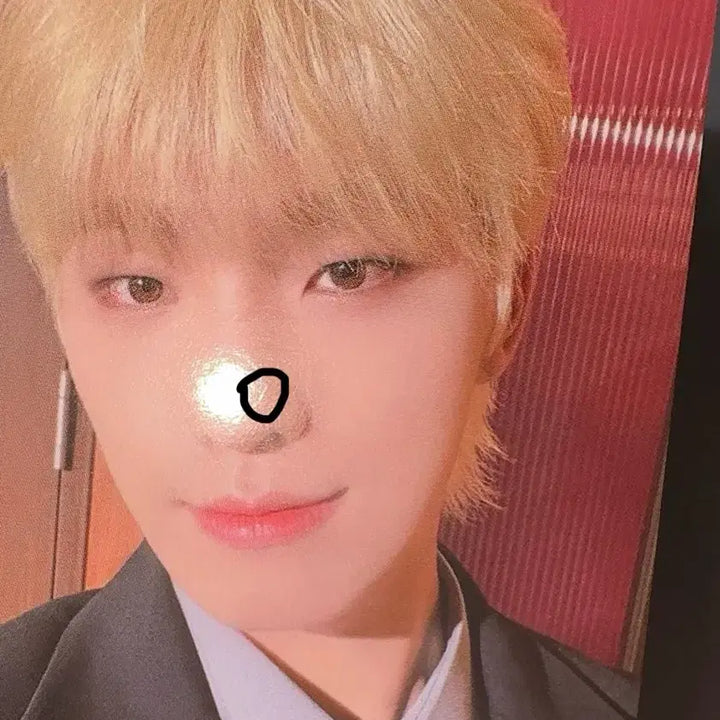 세븐틴 디노 포카 일괄 양도 캐럿존 팔로우앙콘 캐럿랜드 쿱스 민규