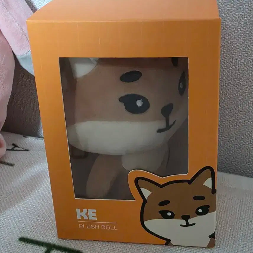 데이식스 데니멀즈 20케