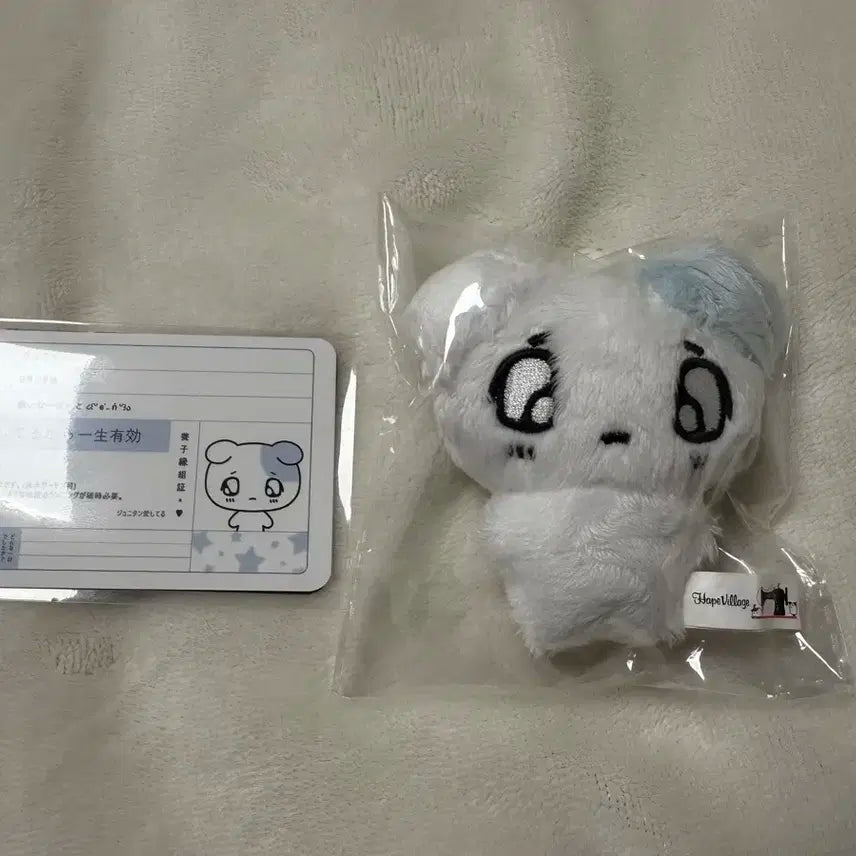플레이브 플부땅 쭈니땅