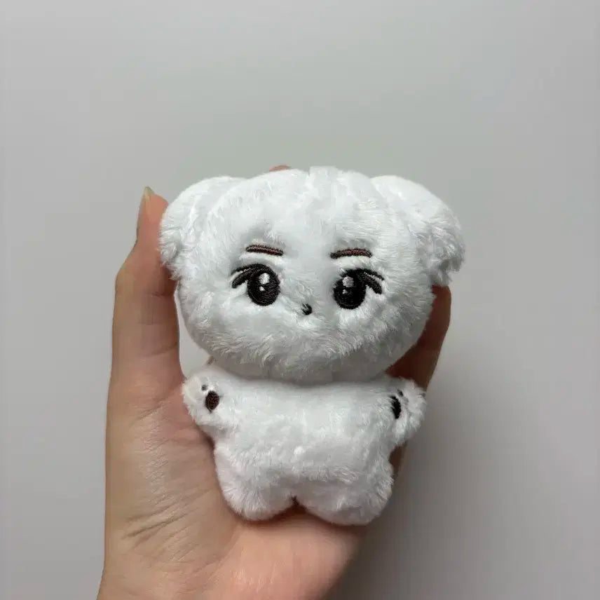 숑뭉이 양도 라이즈 성찬