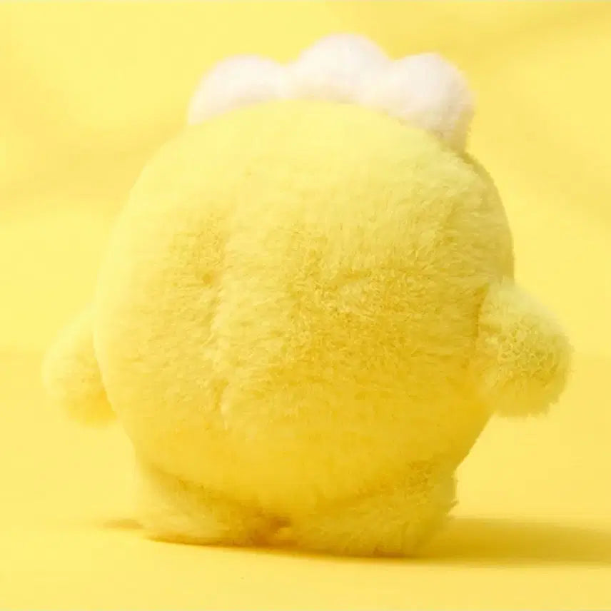 트레저 트루드 뉴본 베이비 포동 plush doll 특전 포카포함