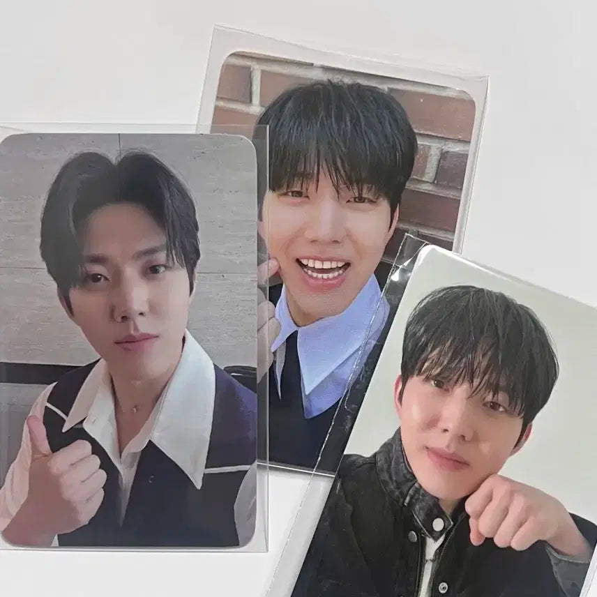 데이식스 도운 포카 일괄 판매