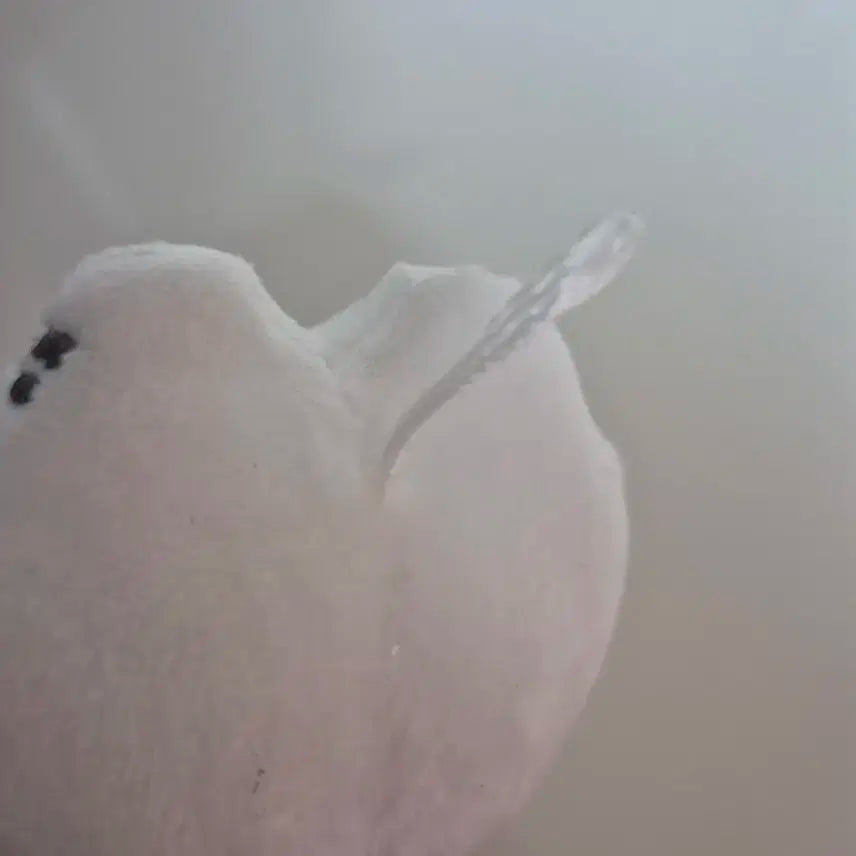 플레이브 인형 짱레이브 은호