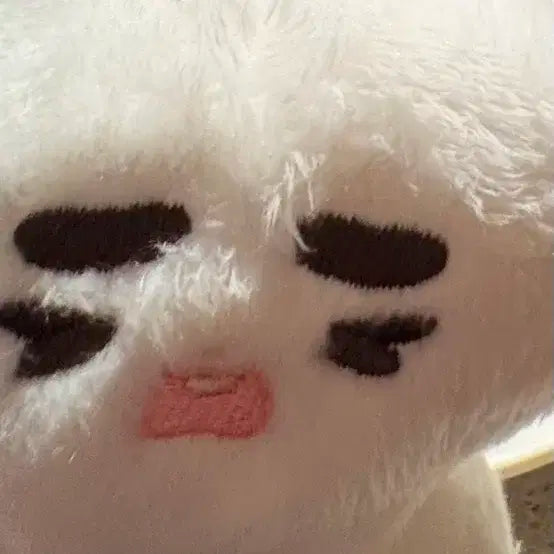 스트레이키즈 현진 비공굿 현찡이 현진인형