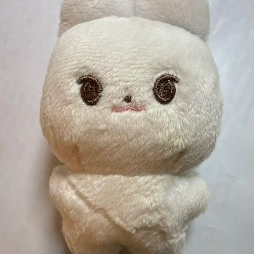 엔시티 도영 인형 도쿵이 양도 nct 127 djj