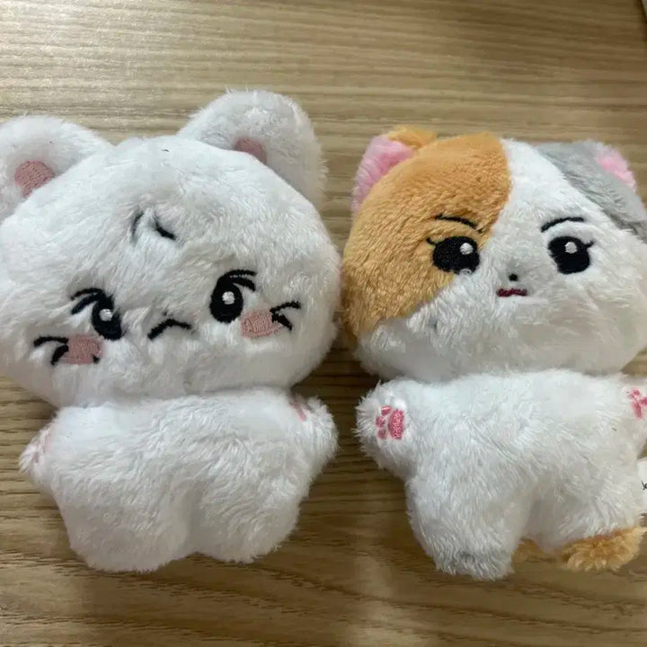 엔하이픈포카