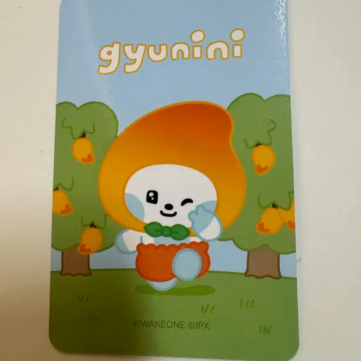 제로베이스원 zb1 line friends 제로니 과일 에디션 김규빈