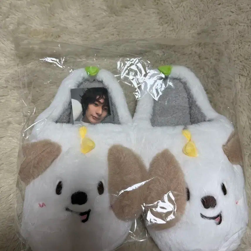 멍룡이 룸슈즈+포카