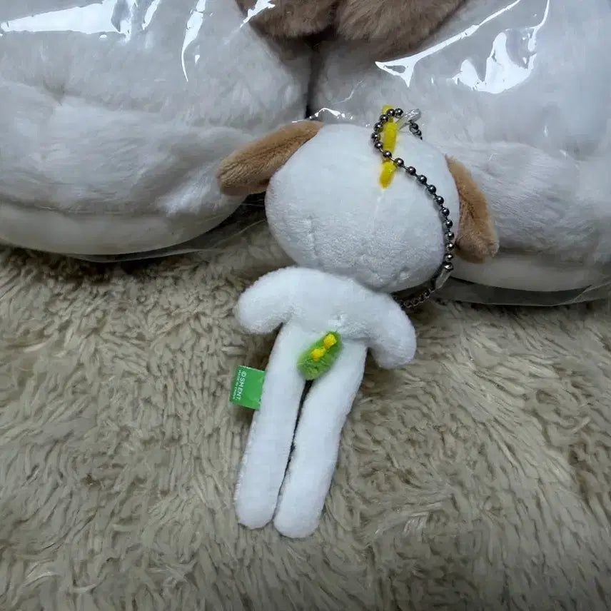 멍룡이 롱키링 롱다리
