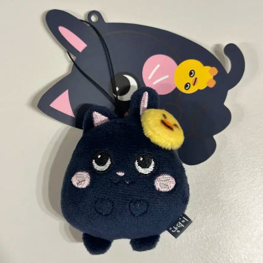 라이즈 미니돌 키링 토냥덕 원빈 7cm