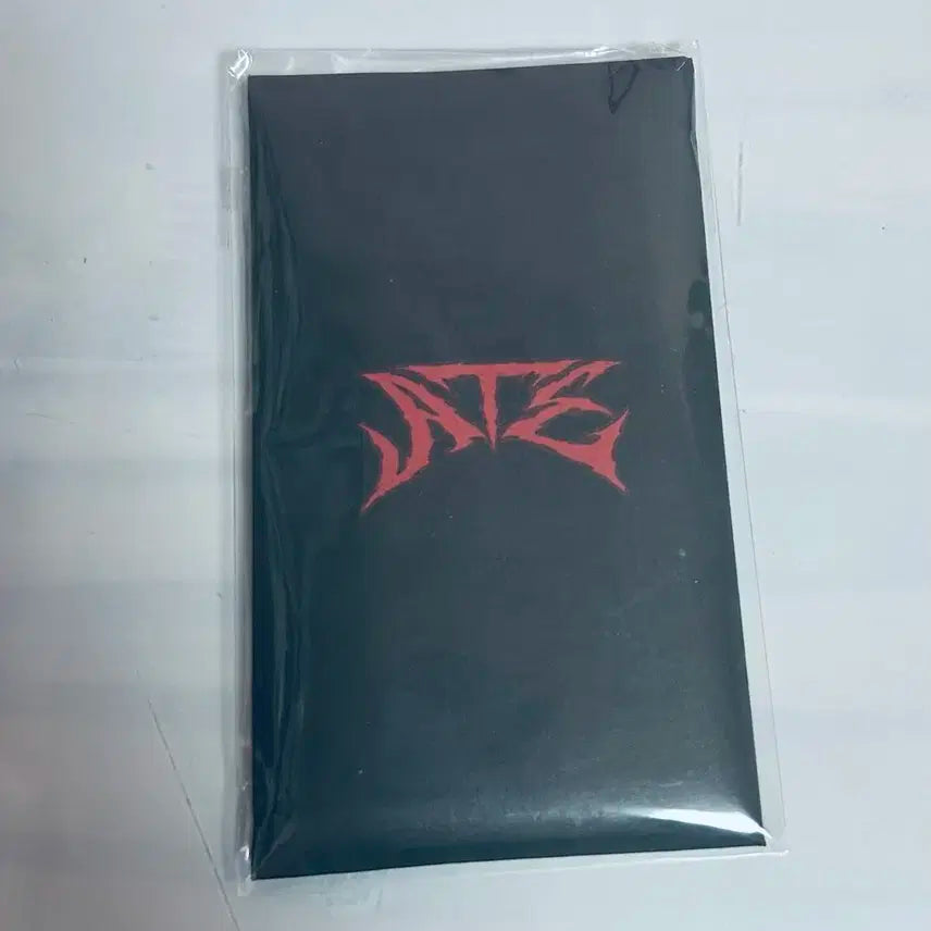 급처)스트레이키즈 접이식 티켓 세트 스키즈