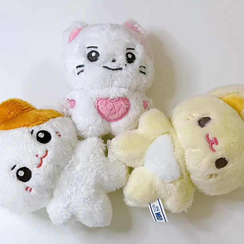 솜한빈 콩토리 햄빈빈 제로베이스원 성한빈 인형