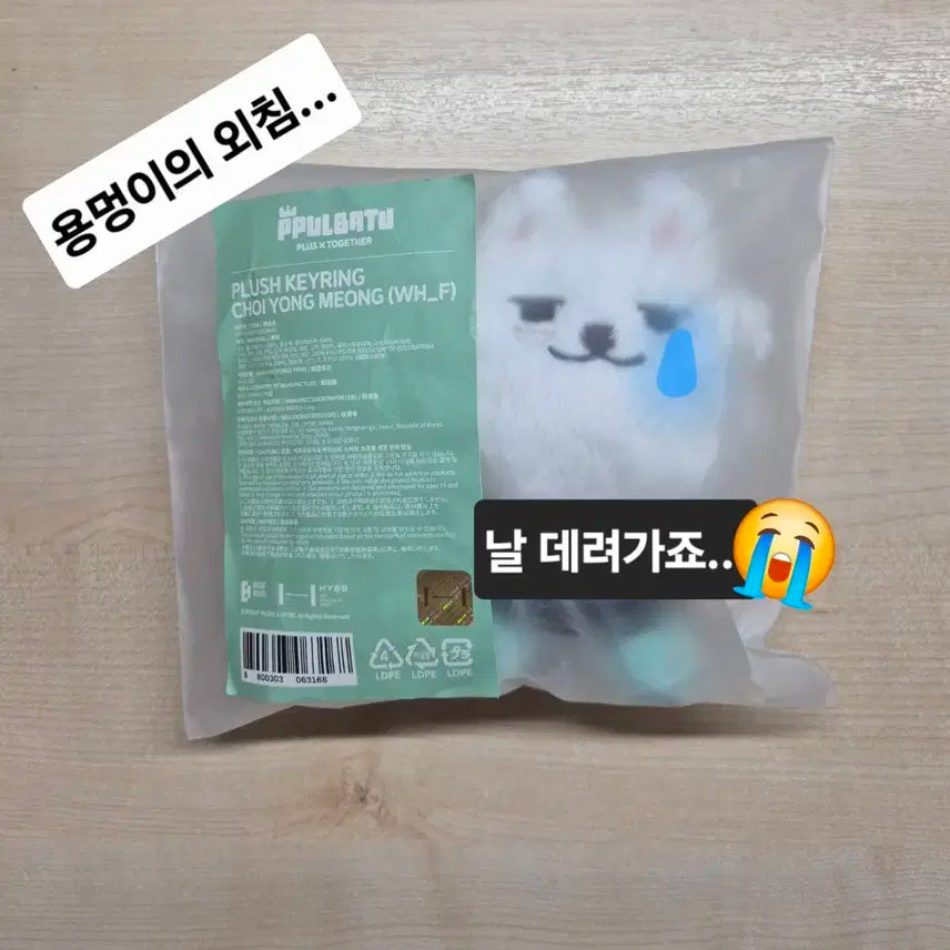 [급전]투바투 최용멍