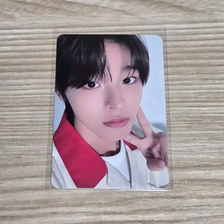 엔시티존 엔시티 위시 시온 리쿠 유우시 피자보이 셀포 포토카드 일괄