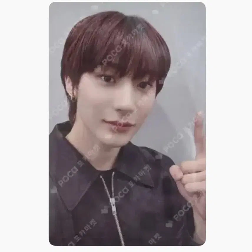 라이즈 앤톤 위버스 포카 양도