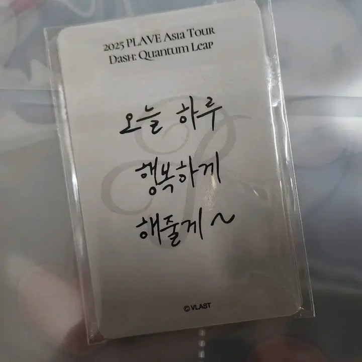 플레이브 아시아투어 콘서트 플리존 포카