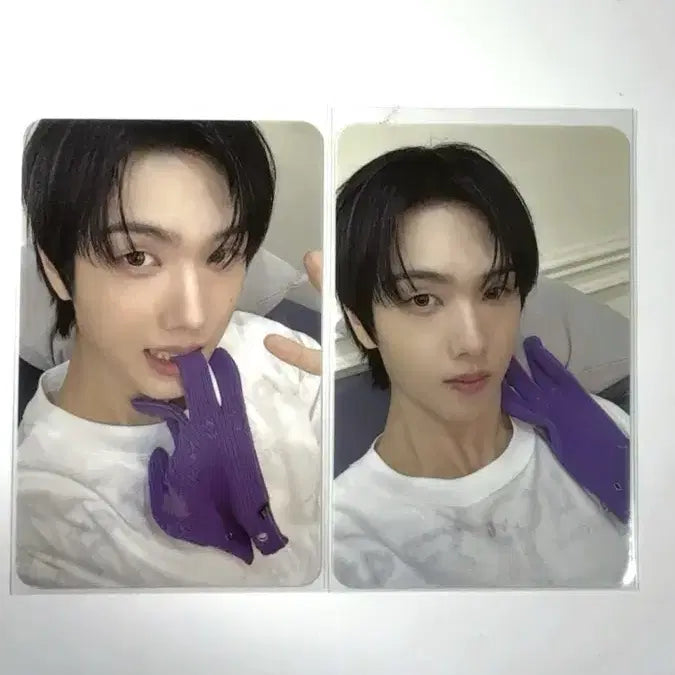 드림스케이프 지성 포카 일괄 판매