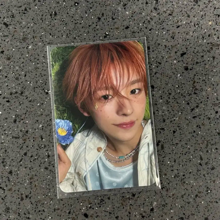 엔시티위시 엔위시 유우시 송버드 개인반 포카