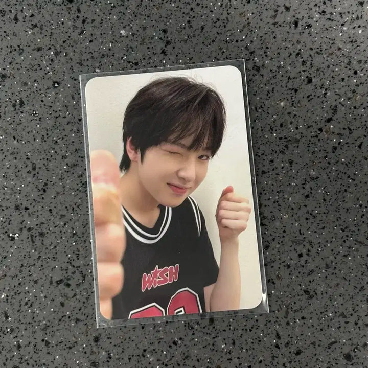 엔시티위시 엔위시 사쿠야 sakuya 스테디팝업 포카