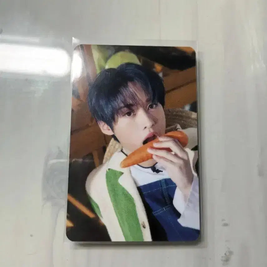 스키즈 리노 2023 시즌그리팅 포카