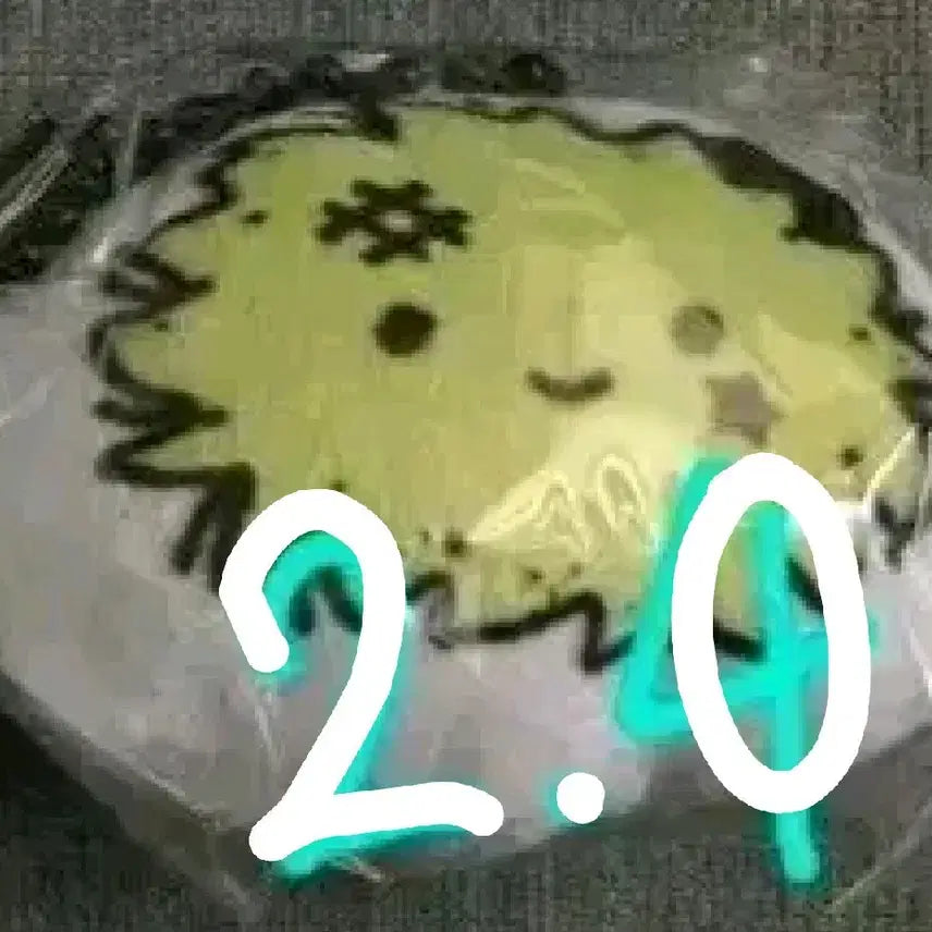 에스파 리치맨 윈터 뭉탱이 쿠션 키링 미개봉