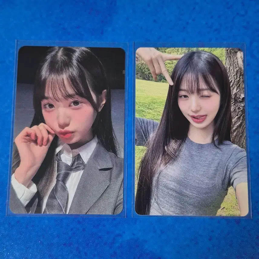 아이브 장원영 포카